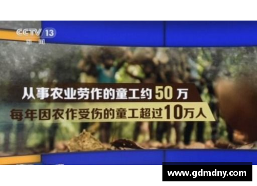 体育明星的主奴关系：探索权力与服从的边界