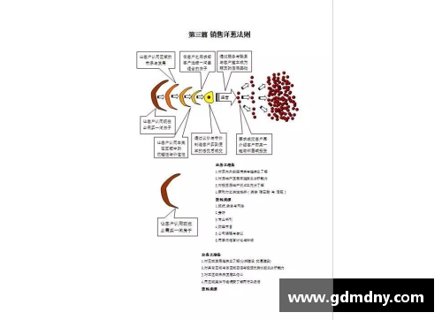 体育明星的优缺点分析：从巅峰到低谷的全景解读