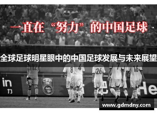 全球足球明星眼中的中国足球发展与未来展望