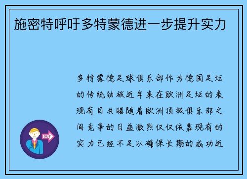 施密特呼吁多特蒙德进一步提升实力