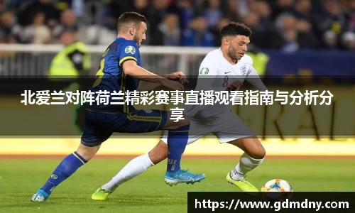 熊猫体育北爱兰对阵荷兰精彩赛事直播观看指南与分析分享