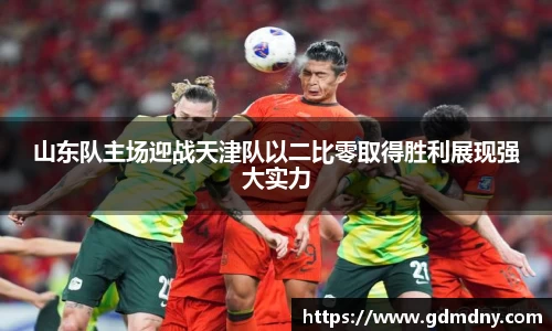 熊猫体育山东队主场迎战天津队以二比零取得胜利展现强大实力